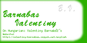 barnabas valentiny business card
